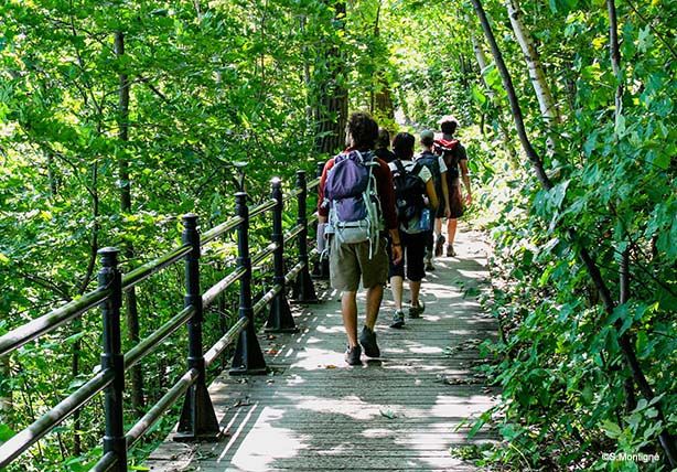 Randonnée guidée : Les trois sommets du mont Royal