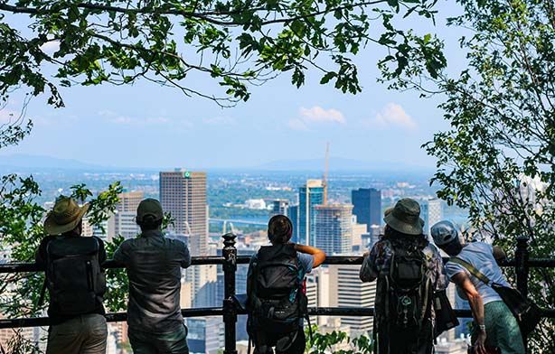Randonnée guidée : Le sommet du mont Royal