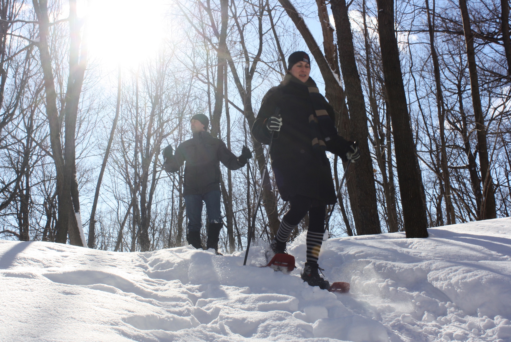 Snowshoe Excursion: The Joy of Winter