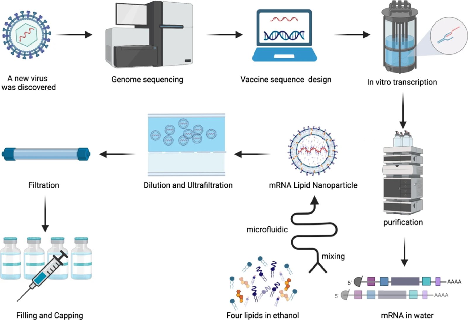 mRNA vaccines are a breakthrough in science innovation demonstrating the speed and flexibility to respond to a global pandemic