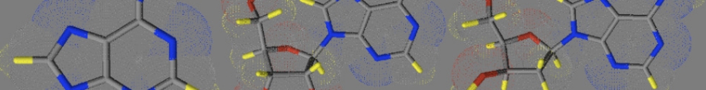 Nucleoside Analysis