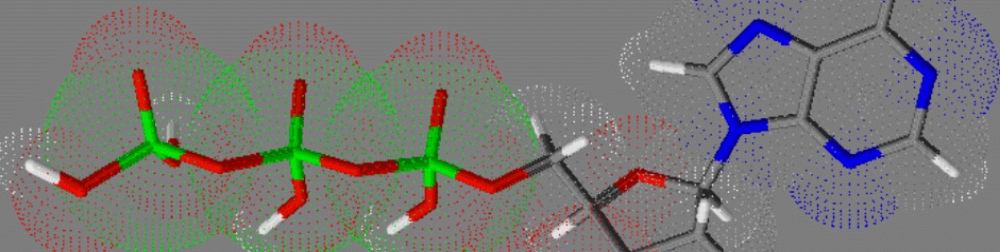 Nucleotide Analysis