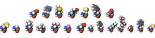 Amino Acids and Derivatives