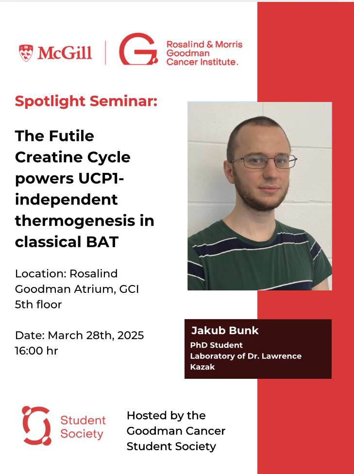 Spotlight Seminar