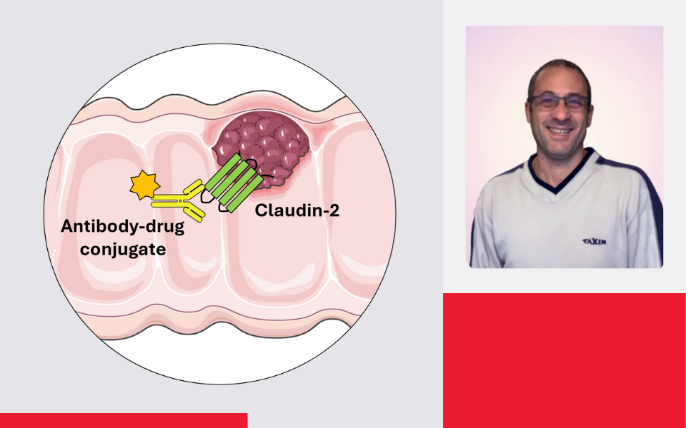 GCI Discovery: Potential for Antibody-Drug Conjugates