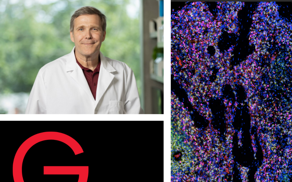 Partnering with Patients for Discovery: Advancing Breast Cancer Research