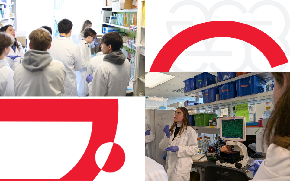 Faire découvrir les sciences du cancer à la nouvelle génération : Parlons cancer à l’institut du cancer Rosalind et Morris Goodman