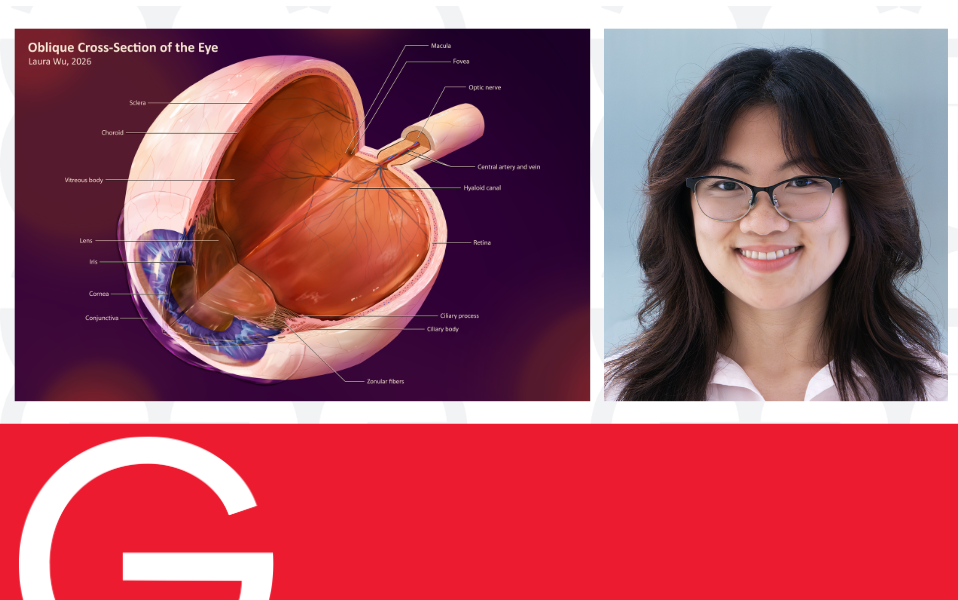 Du laboratoire à l’illustration: Laura Wu transforme la science en art