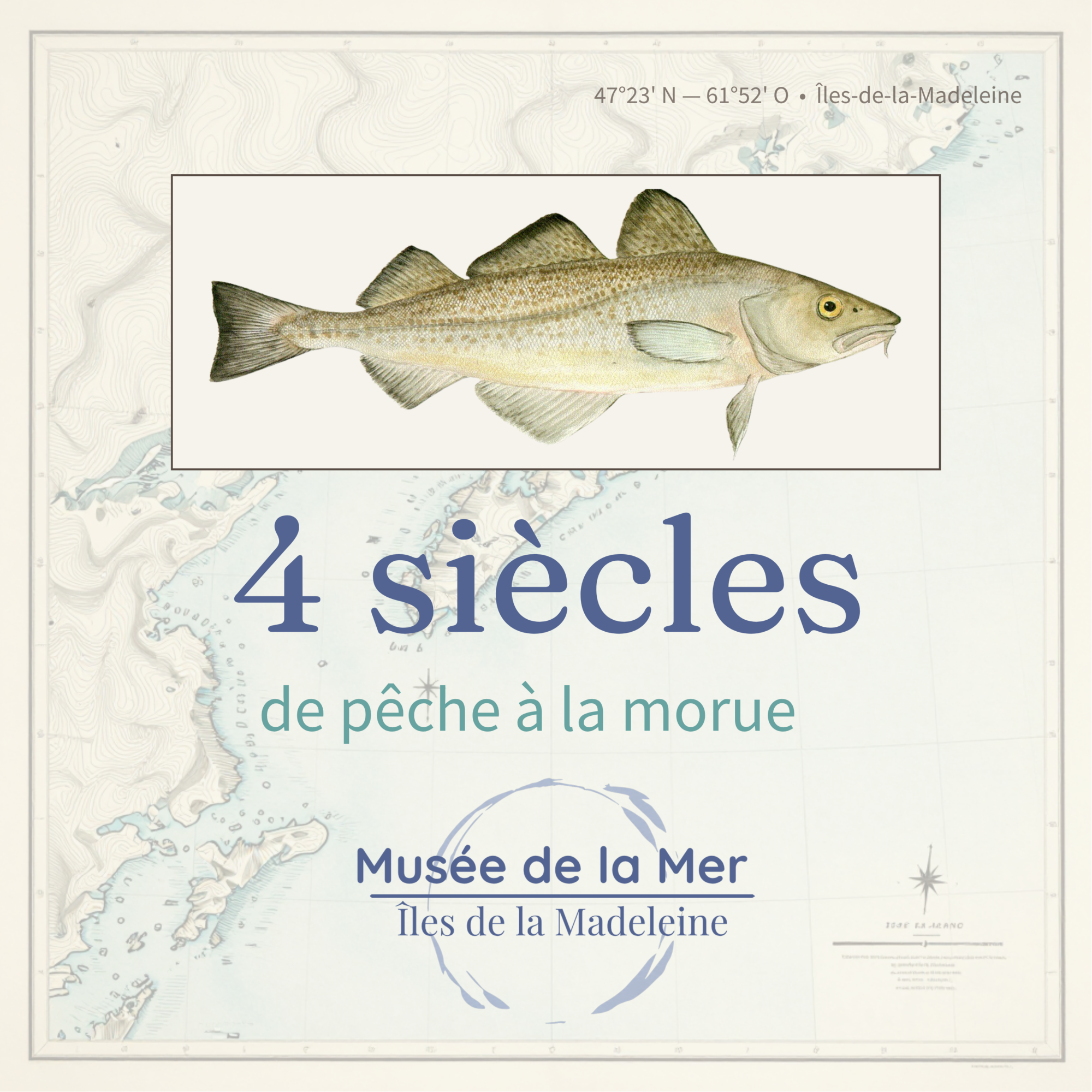 Cocktail bénéfice 4 siècles de pêche à la morue