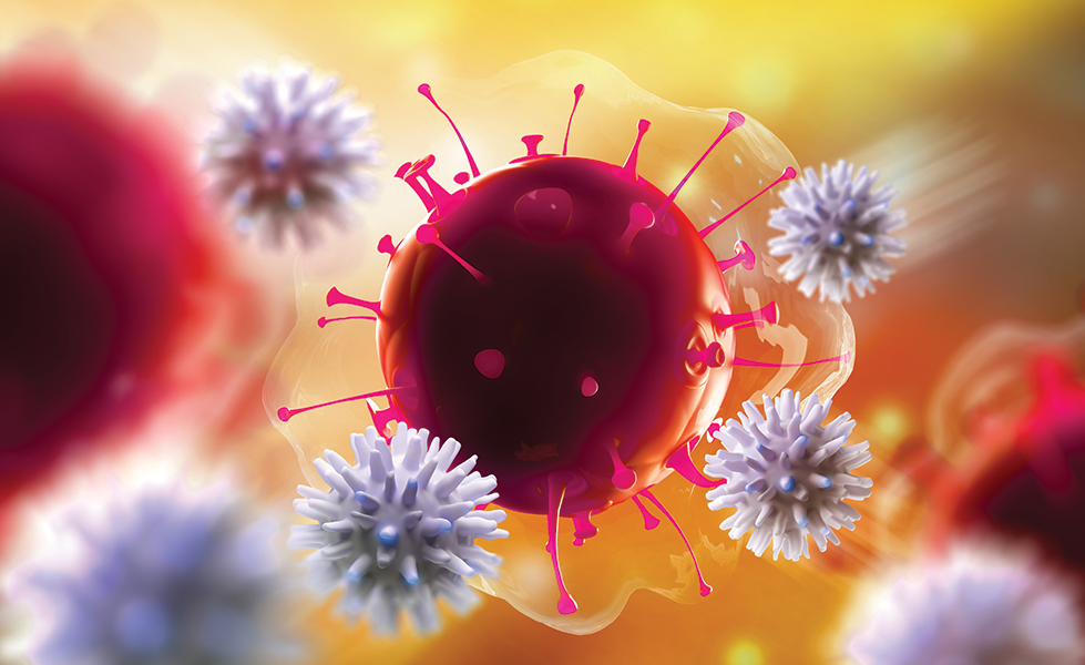 Réponse immunitaire: Le rôle protecteur des récepteurs SLAM face à plusieurs maladies graves se confirme