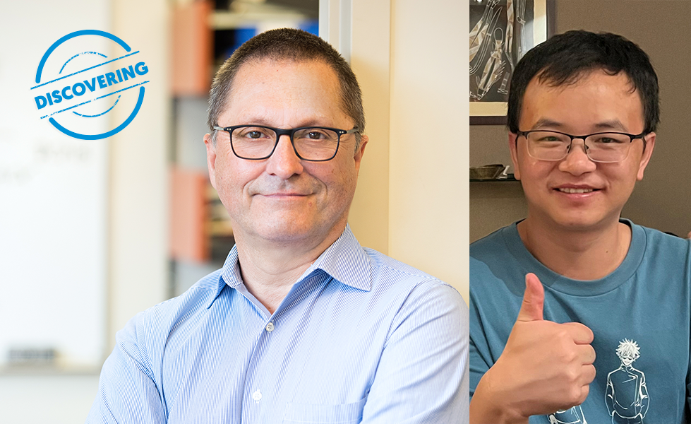 Understanding Immune System “Brakes”: A Key to Smarter Cancer Treatments