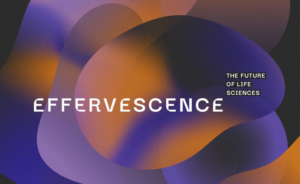 EFFERVESCENCE 2022: a rich and varied program, with significant participation from IRCM