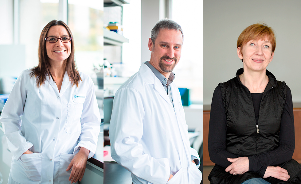 The CIHR grants over $ 2.4 million to support cutting-edge research at the IRCM