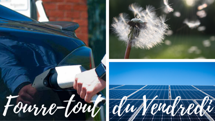 Articles - Image d'intro