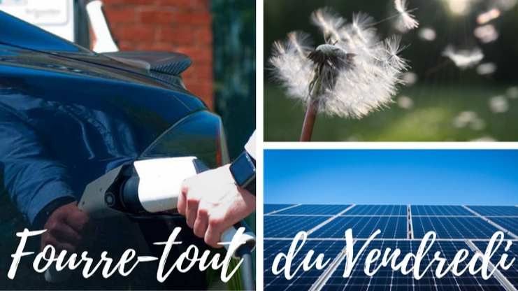 Articles - Image d'intro