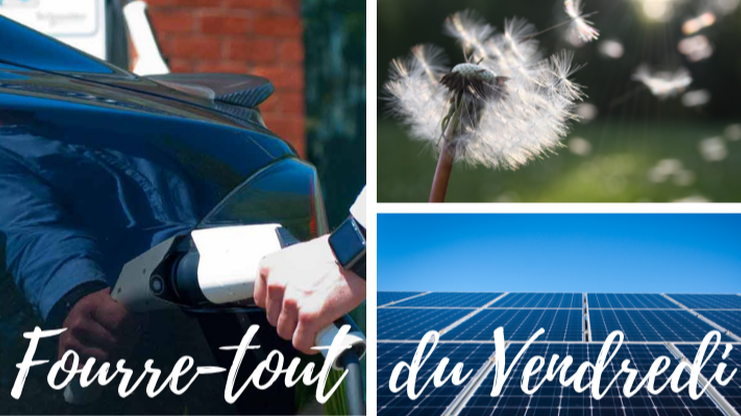 Articles - Image d'intro