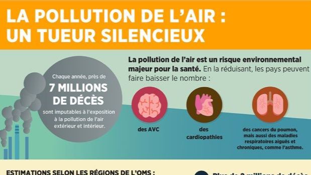 Articles - Image d'intro