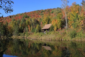 Articles - Image d'intro