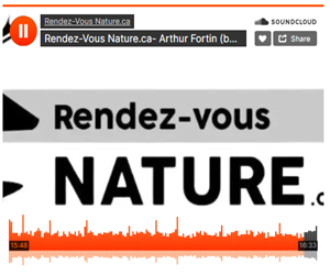 Articles - Vignette