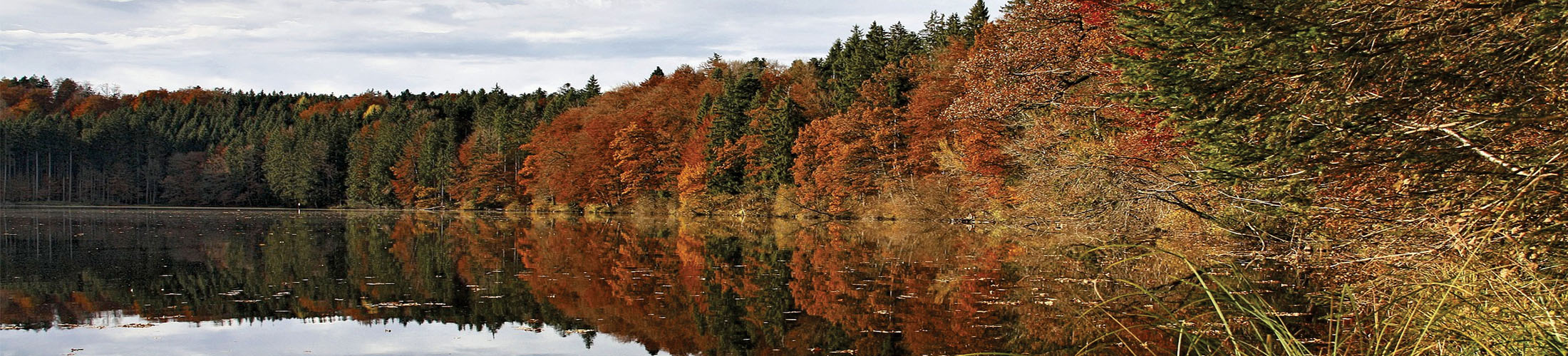 036 Lac en automne