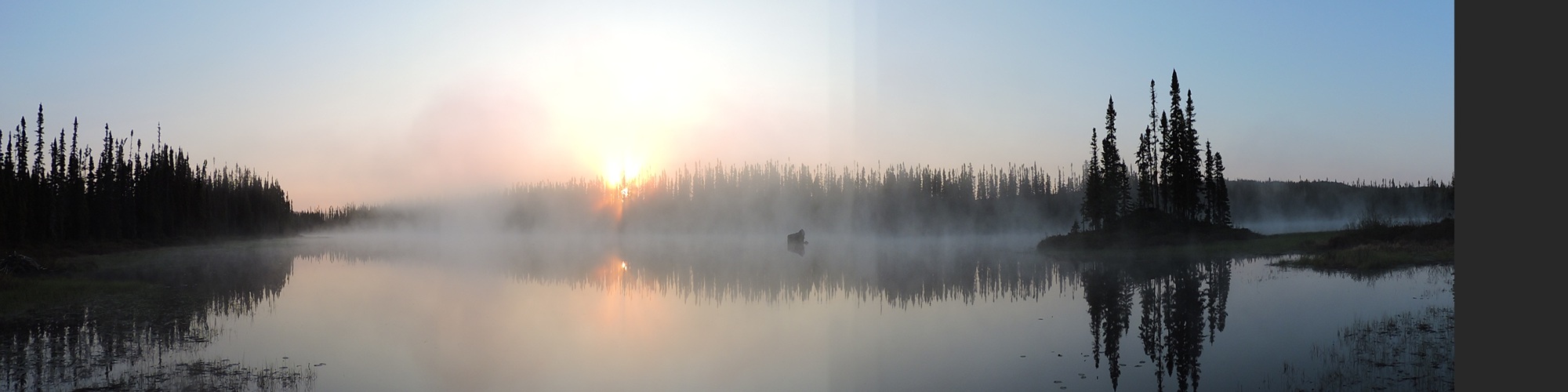 025 photo carrousel lac Sauvage printemps