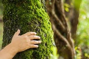 Articles - Image d'intro