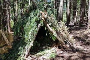 Articles - Image d'intro