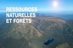 Articles - Image d'intro