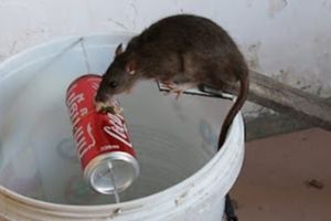 Articles - Image d'intro