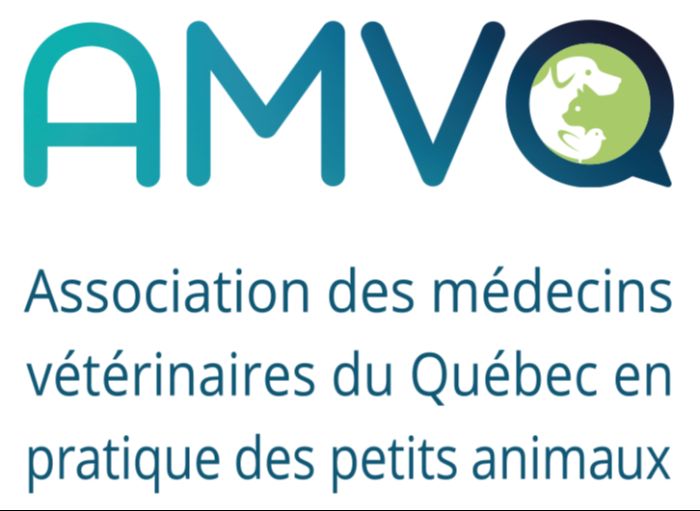 Logo Association des médecins vétérinaires du Québec (AMVQ) en pratique des petits animaux