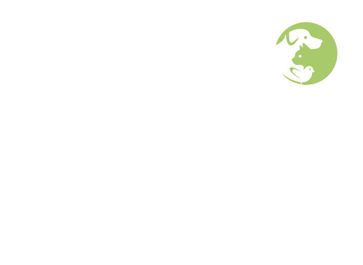 Logo Association des médecins vétérinaires du Québec (AMVQ) en pratique des petits animaux