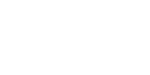 Logo Association des médecins vétérinaires du Québec (AMVQ) en pratique des petits animaux