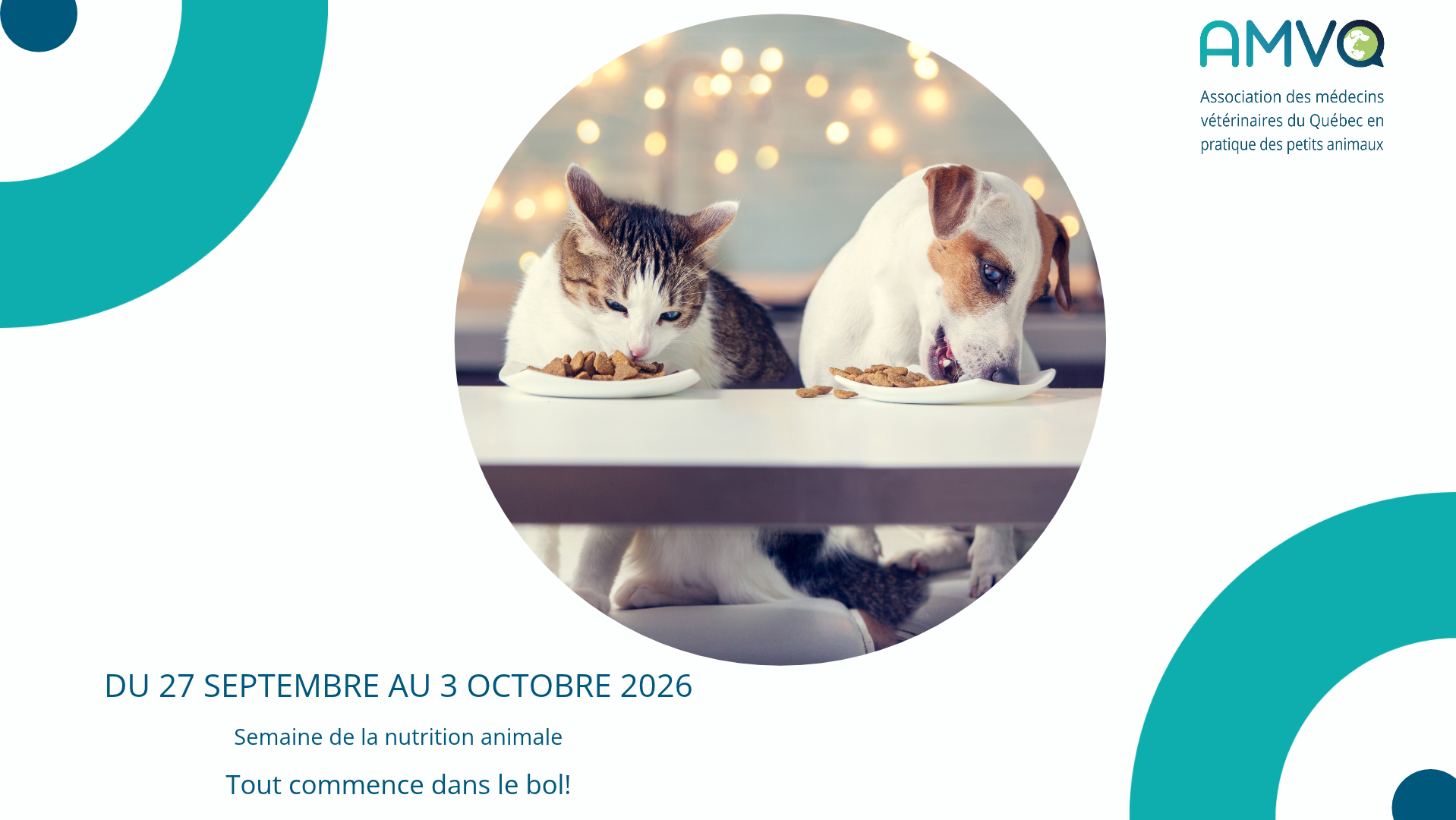 Articles - Vignette