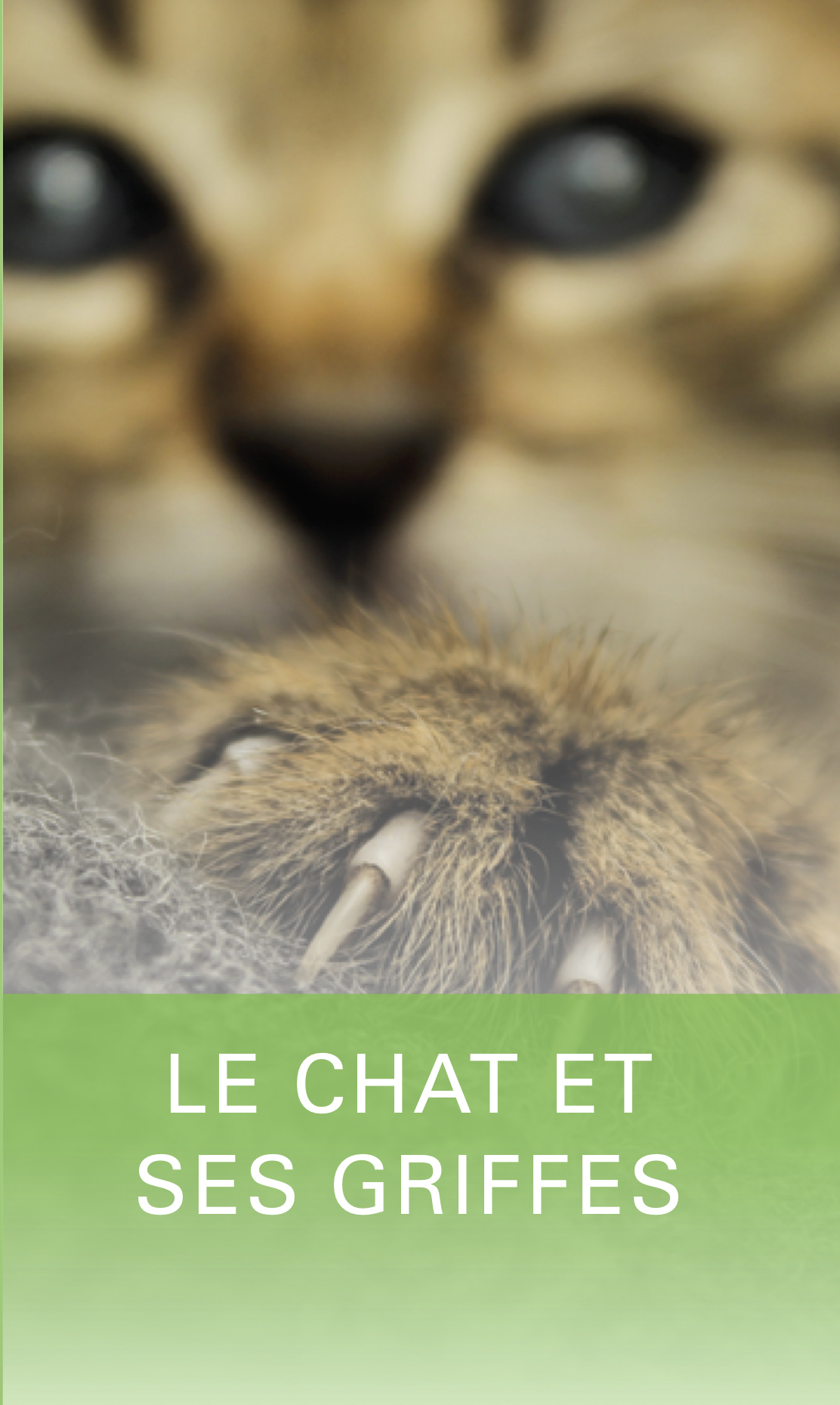 Actualités - Image d'intro