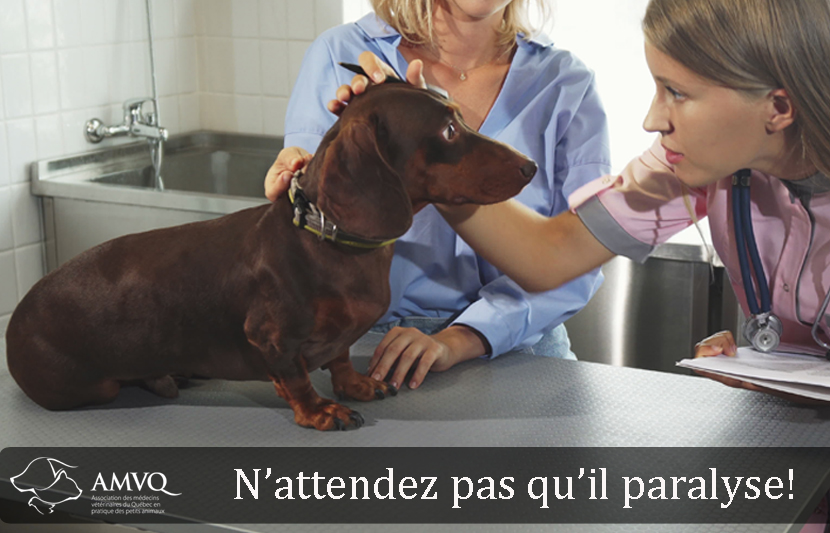 Actualités - Image d'intro