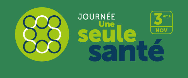 Actualités - Image d'intro
