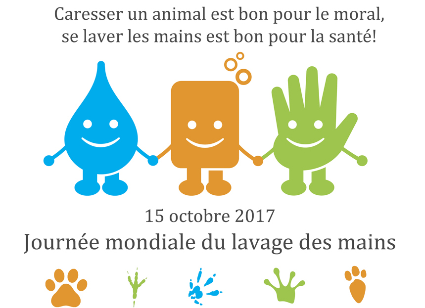 Articles - Image d'intro