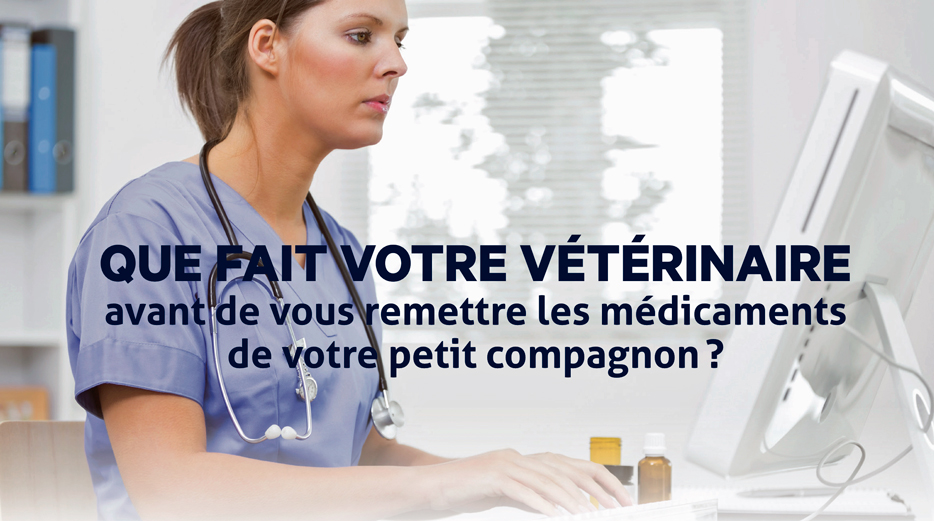 Actualités - Image d'intro