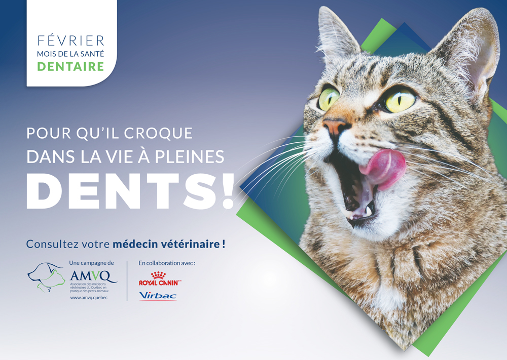 Actualités - Image d'intro