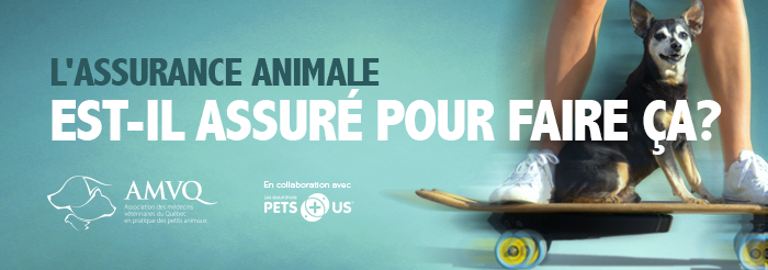 Articles - Image d'intro
