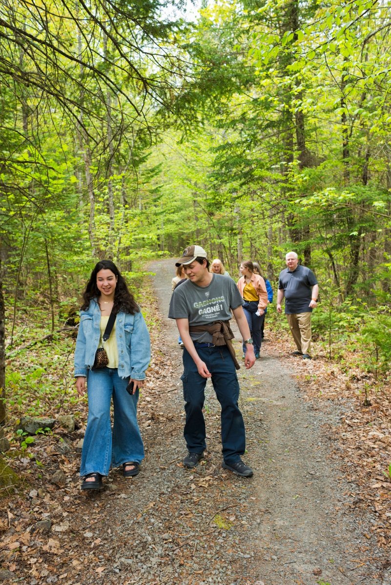 Nature & Wellness Activities