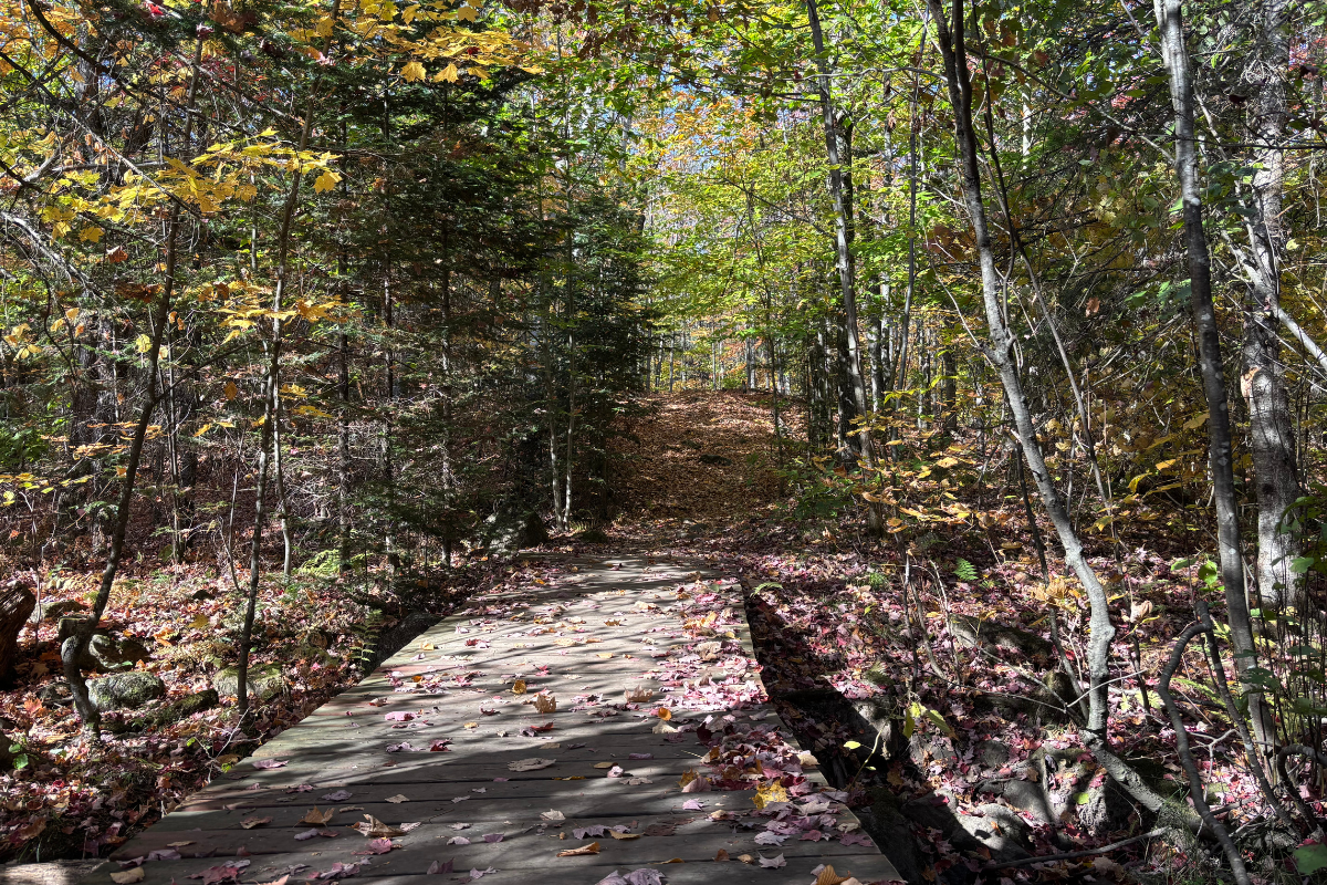 Parc de la coulée - Hiver 2025-2026