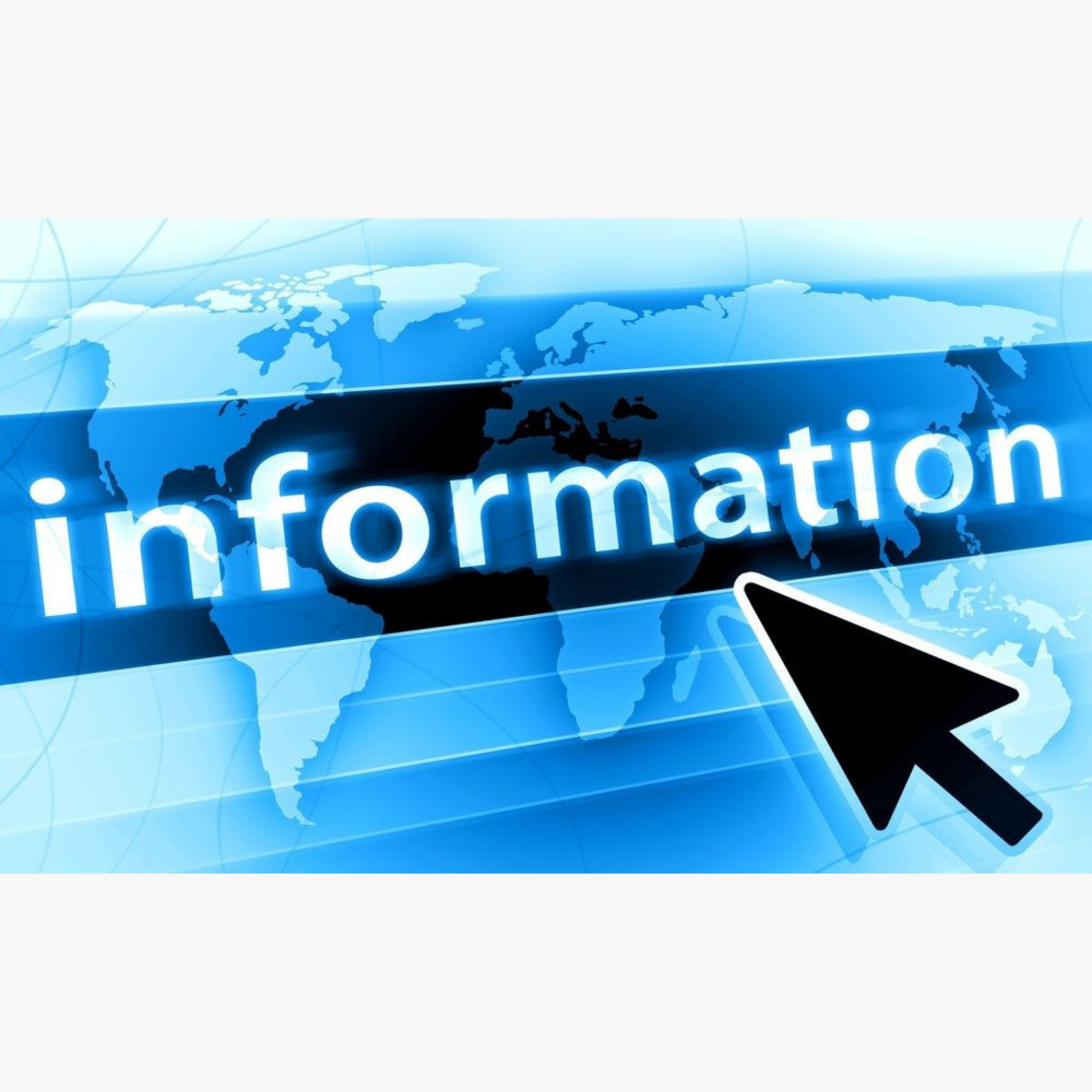 Making Access to Information Requests: What Information Can Be Obtained?