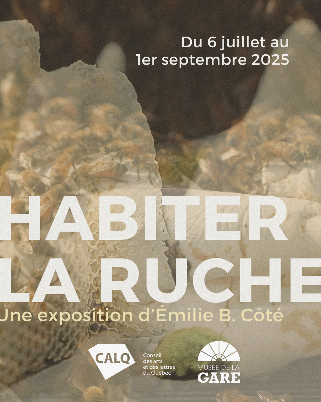 Exposition : Habiter la ruche