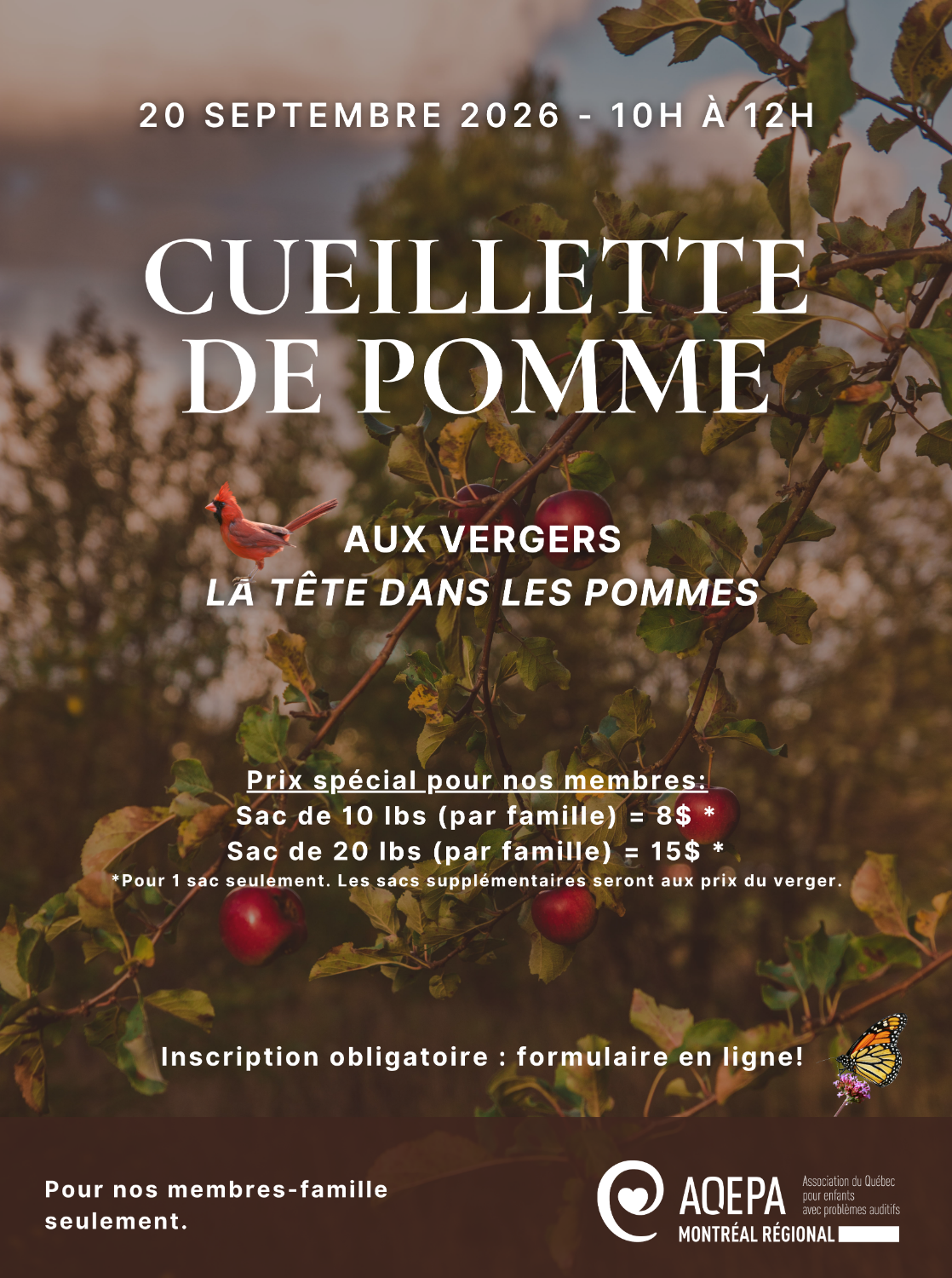 Cueillette de pommes !
