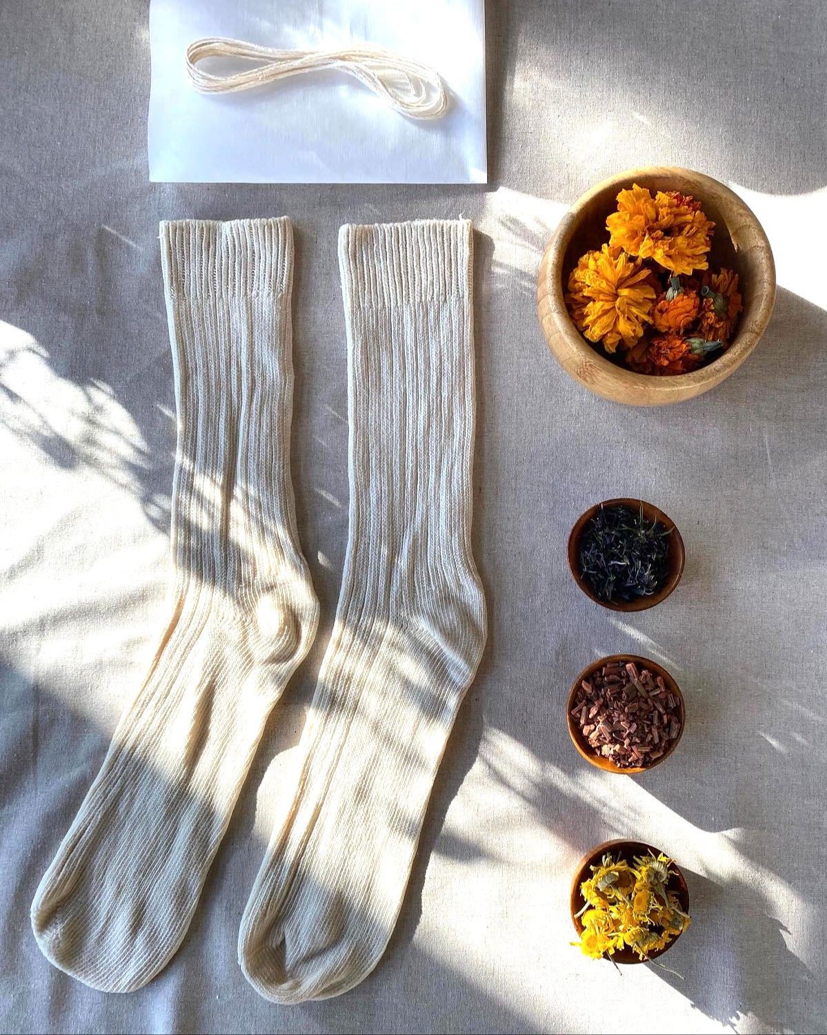 Atelier d'impression botanique avec Marie-les-bains · DIMANCHE