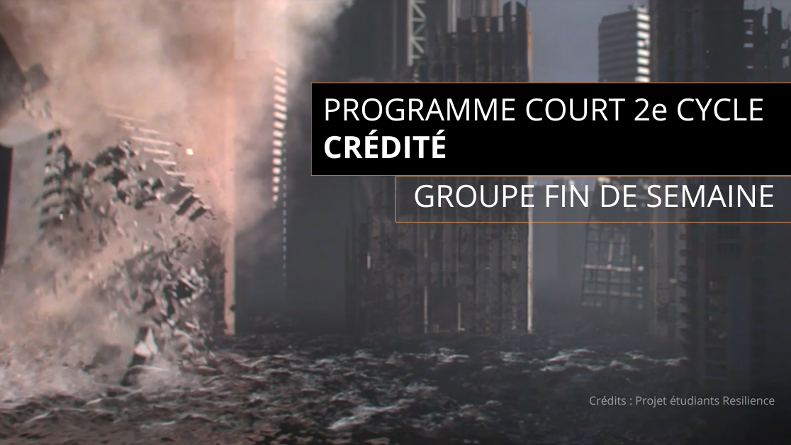 Simulation d'effet visuels 3D