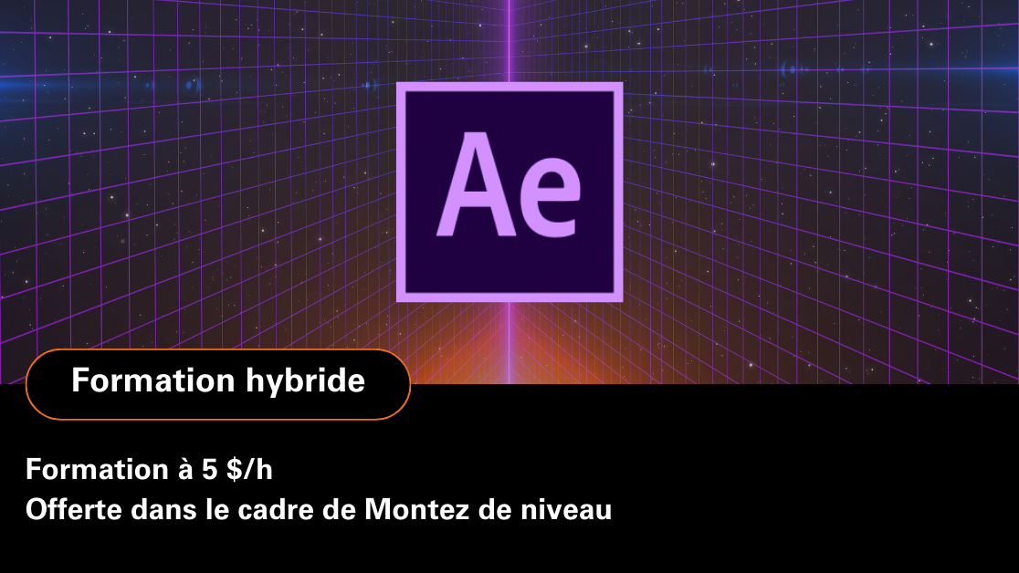 After Effects - Avancé
