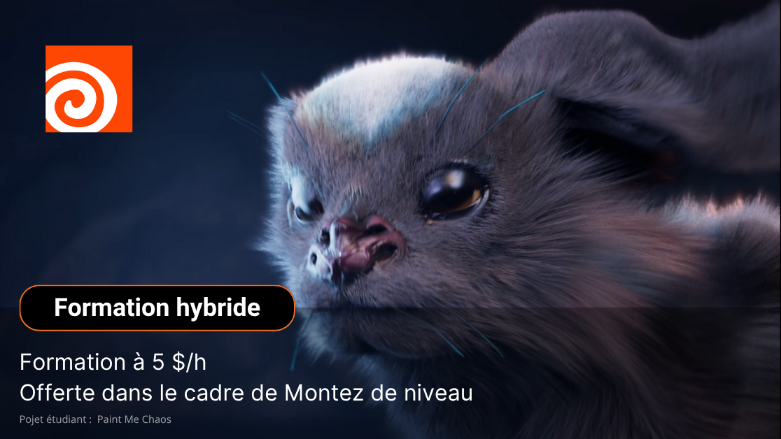 Houdini - Introduction à l'outil Groom