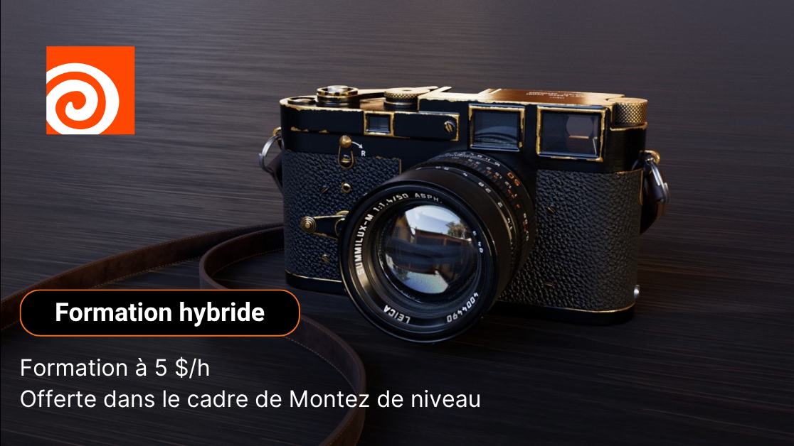 Houdini - Solaris : LookDev, Layout et éclairage